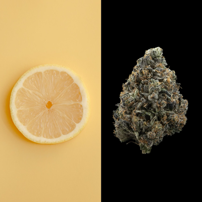 Terpenes - Limonene
