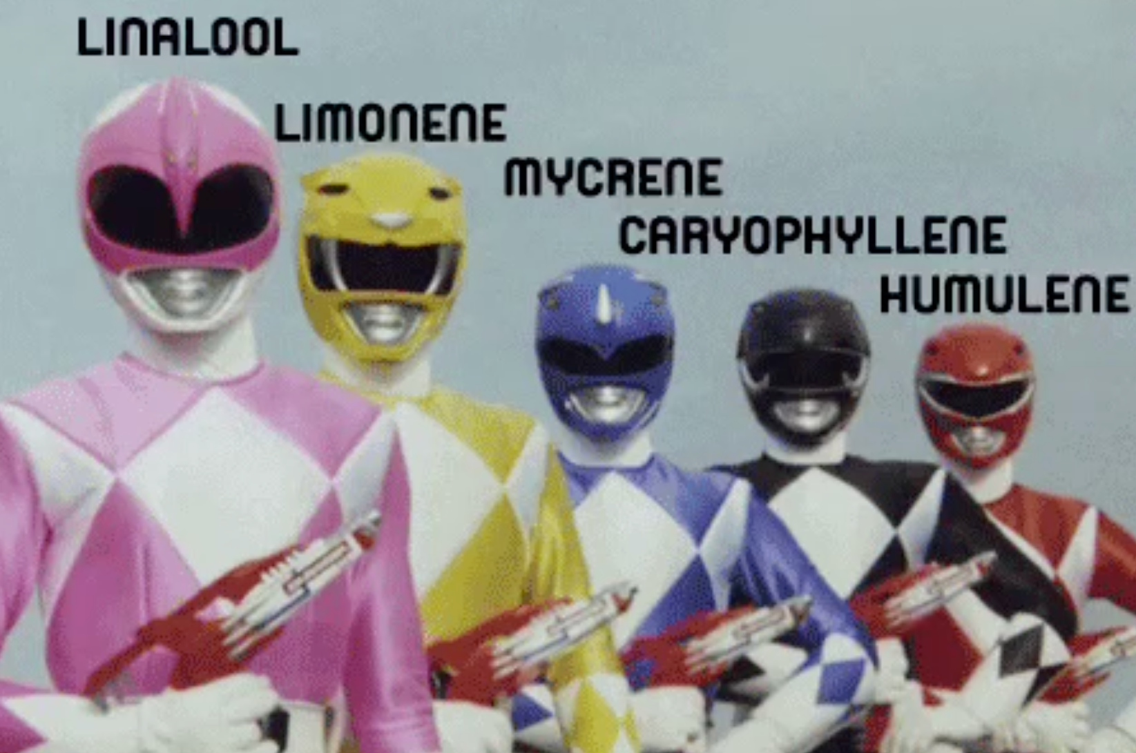 Terp Rangers of P90