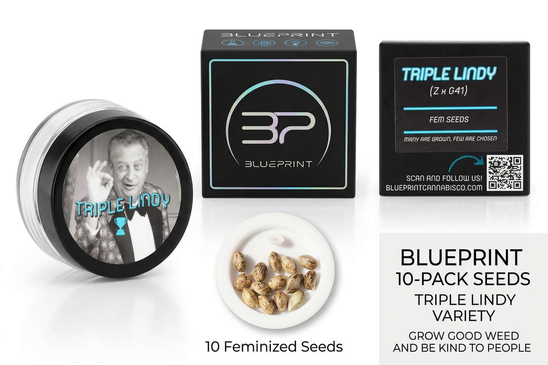Triple Lindy - 10 Feminized Seeds